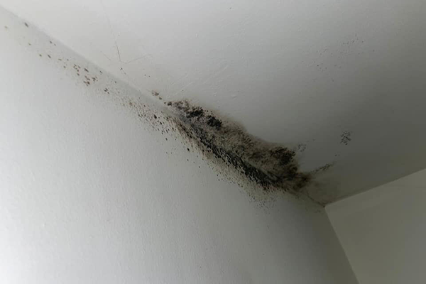 Condensation on interior wall