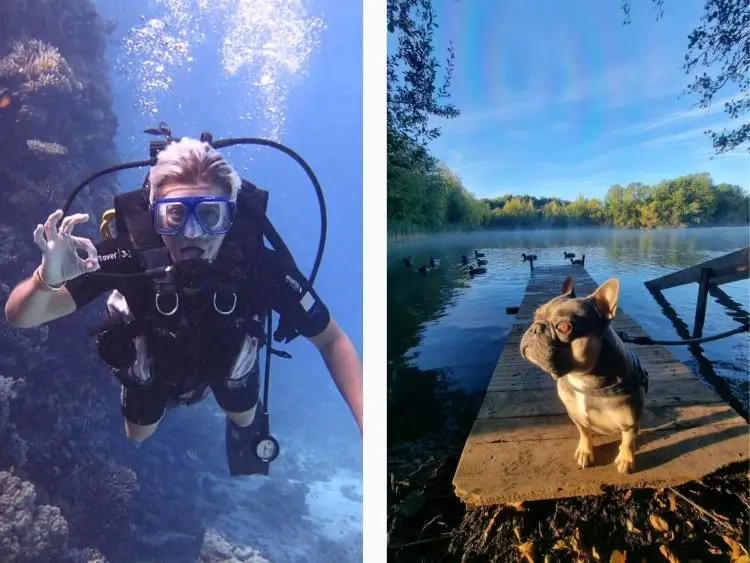 day in the life of expert ria