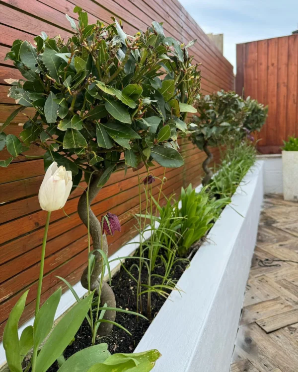 @number_13_our_home using Smokey White masonry paint