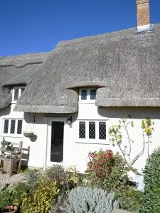 @thatch.and.thread using Mushroom masonry paint