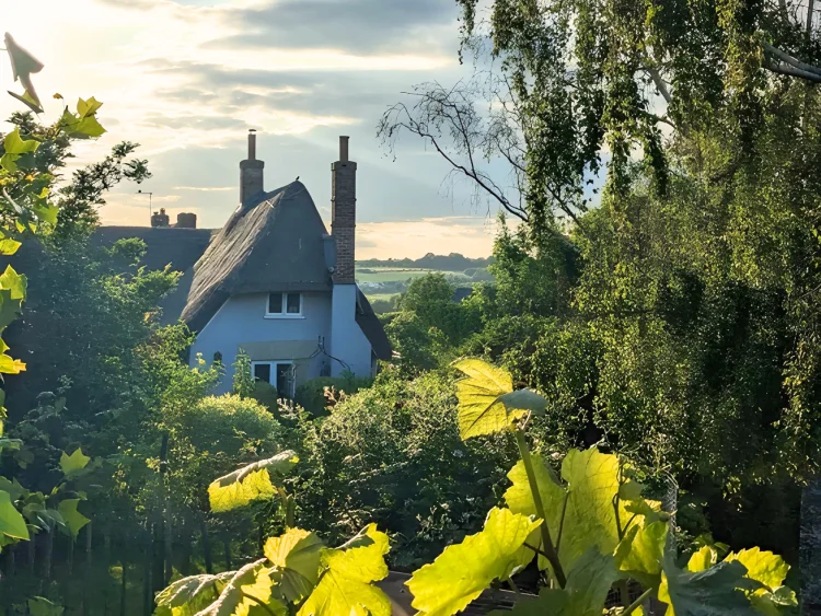 A cottage in the countryside