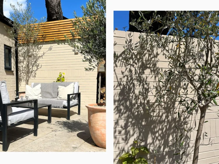 A garden wall painted with Brown Sugar masonry paint