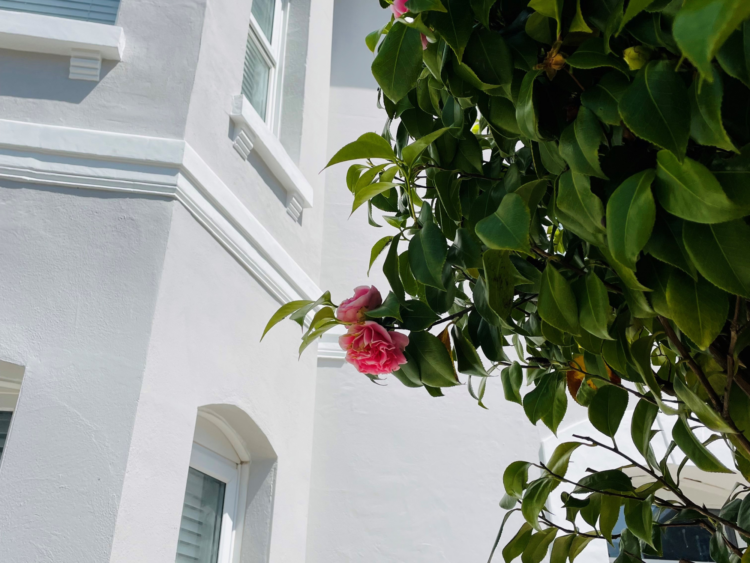A home that has been repainting using Emperor Masonry Paint