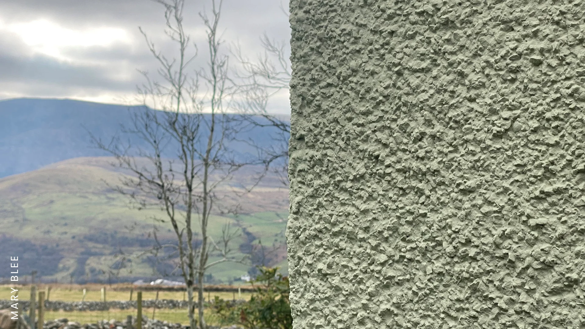 A house painted with green mist masonry paint