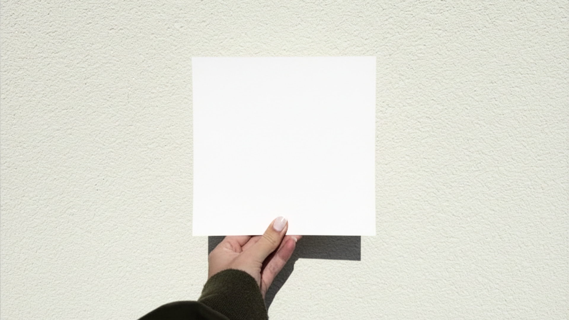 A person holding a sample of masonry paint on a white wall