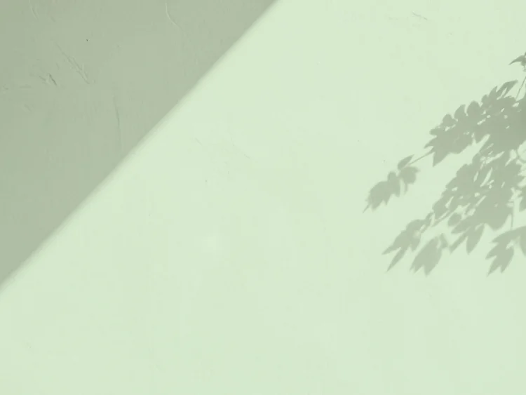 A wall painted with green masonry paint