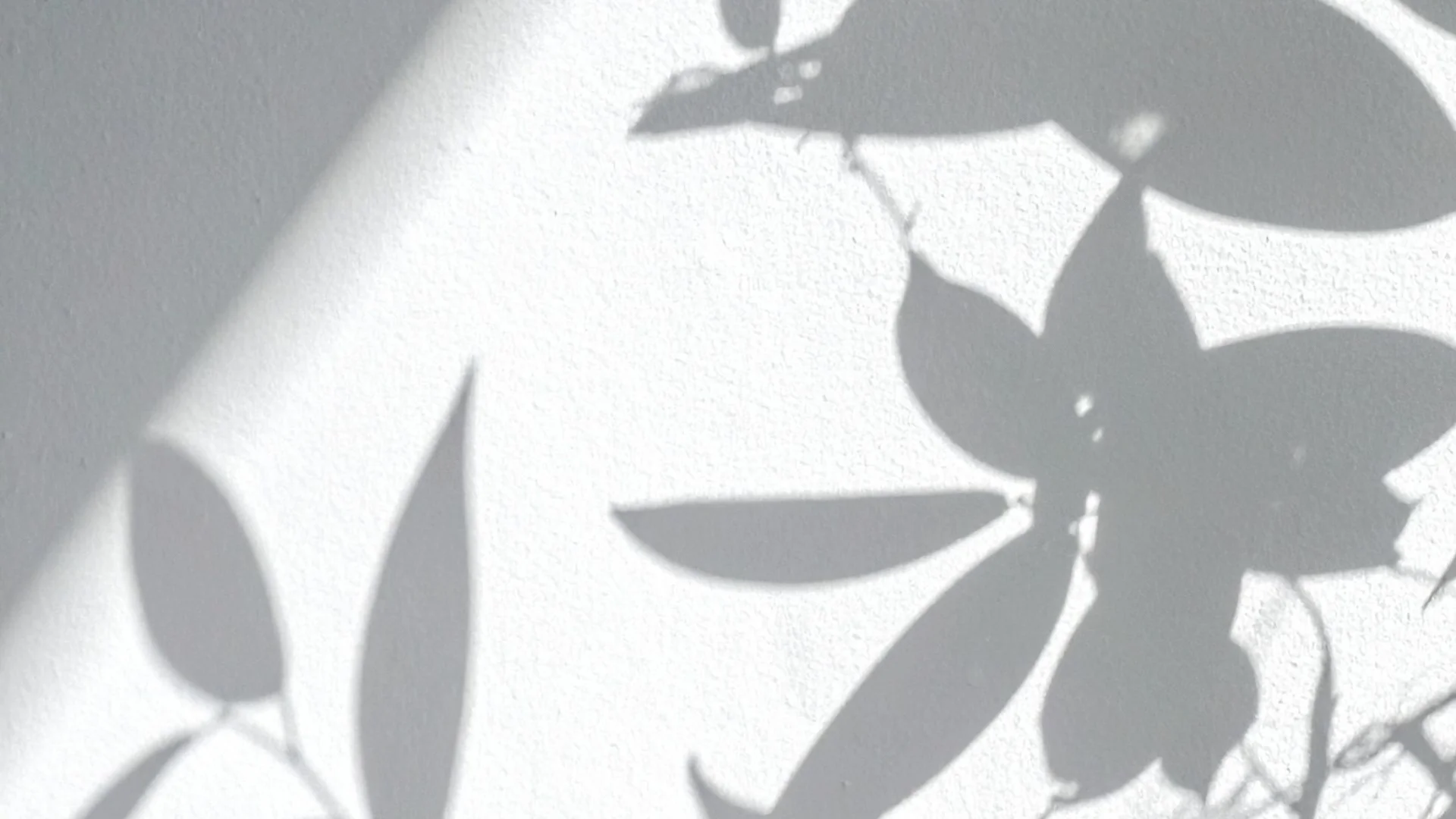 A white wall with shadow