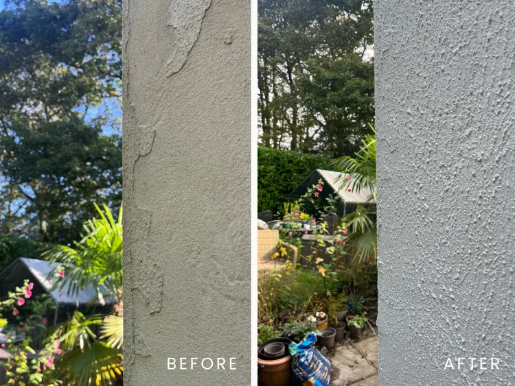 Basecoat before and after