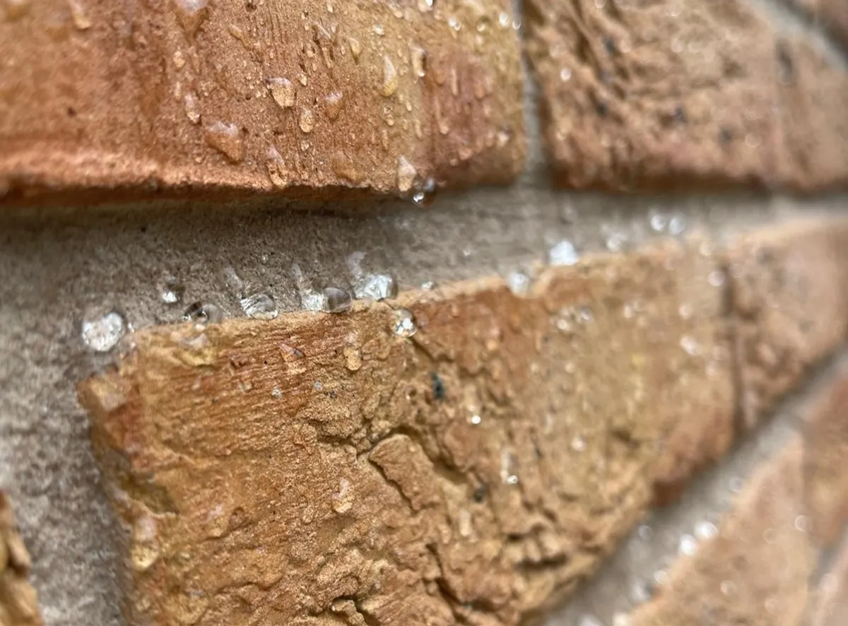 Example of of bricks after Emperor Paint hydrophobic Creme
