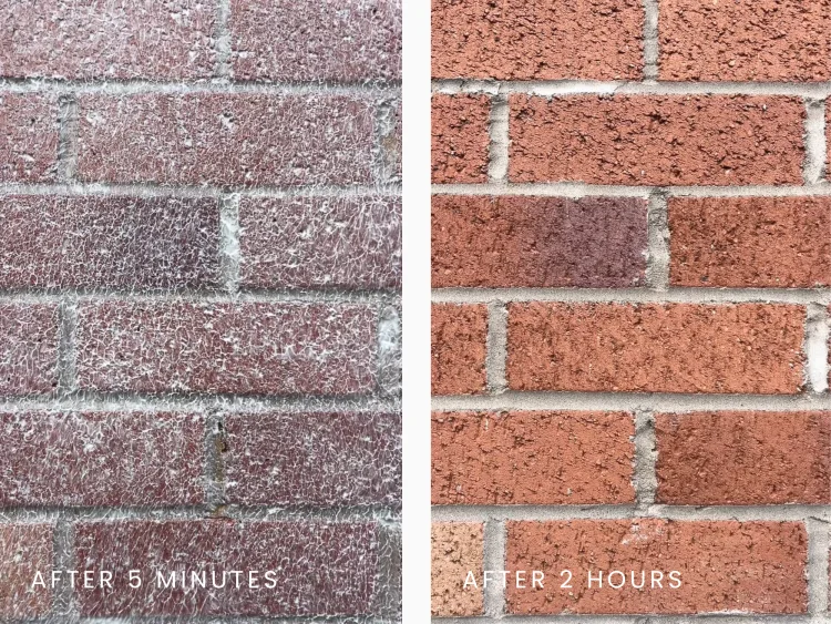 Before and after applying a penetrating damp treatment