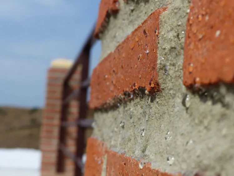 Brick wall once brick sealer or masonry cream is applied