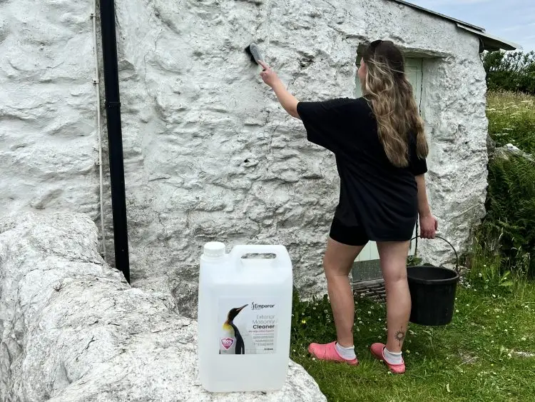 Cleaning a masonry paint ready to paint