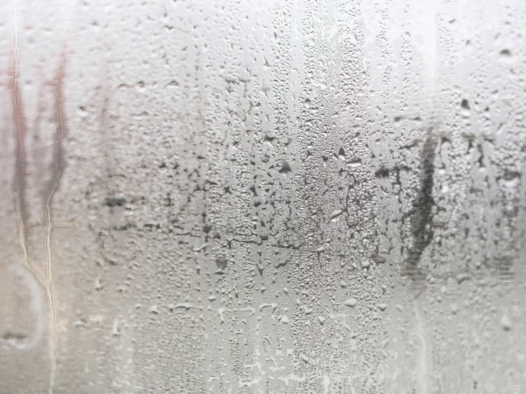 Condensation that has built up on a window