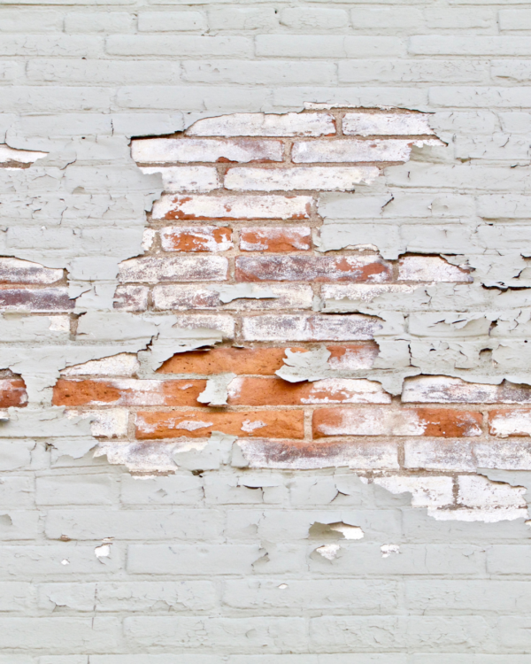 Damage from a brick wall that cant breathe