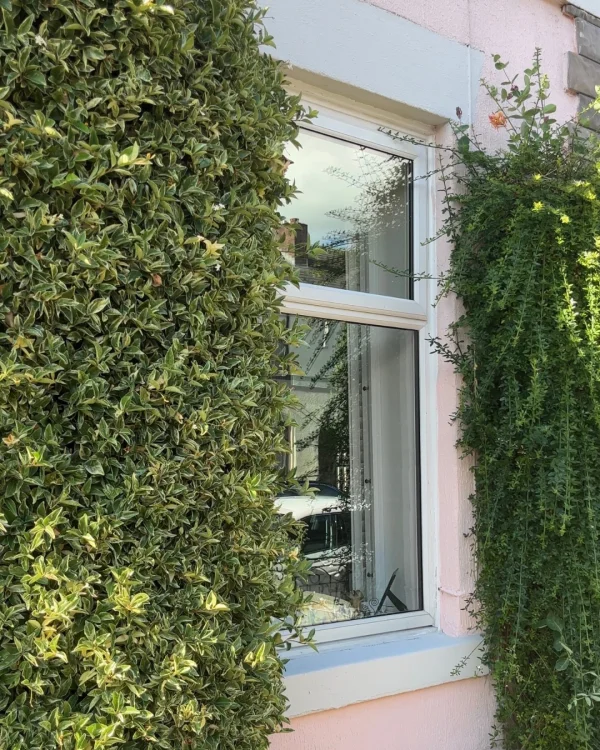 Emily Jackson using Rose Pink masonry paint