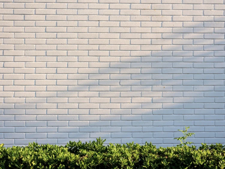 Exterior bricks that have been painted