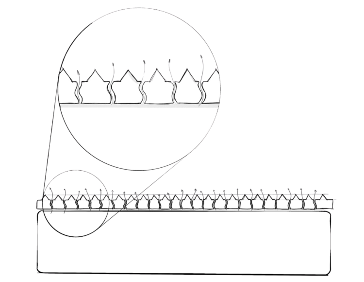 Breathability drawing
