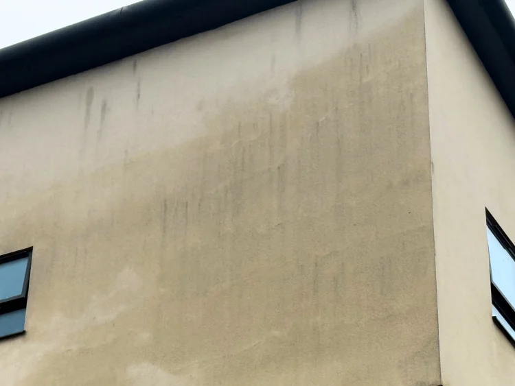 Penetrating damp on exterior walls