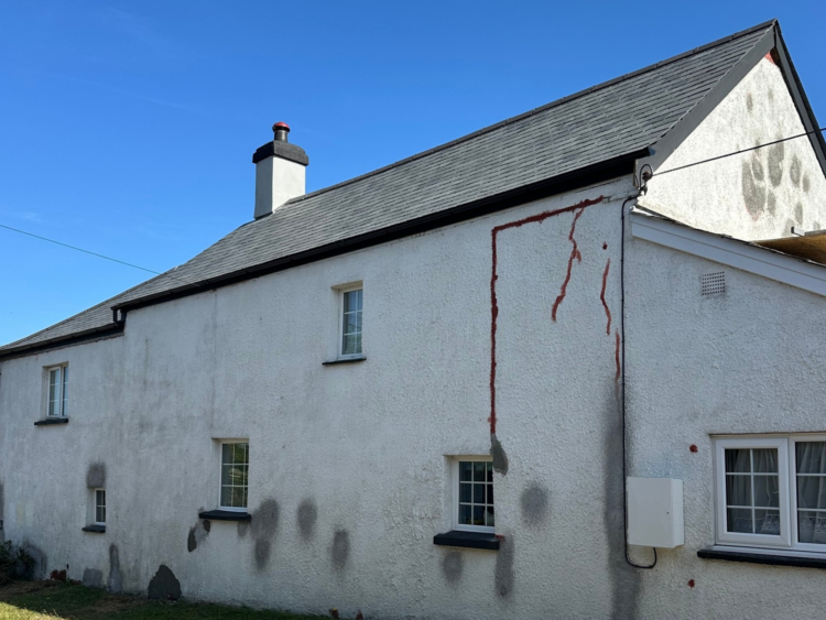 Prep on betty's cottage