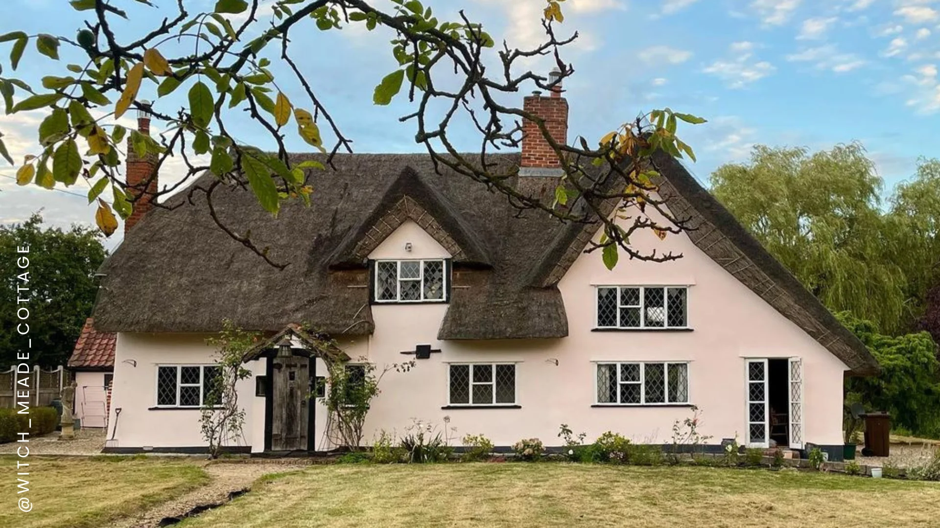 Rose Pink paint colour