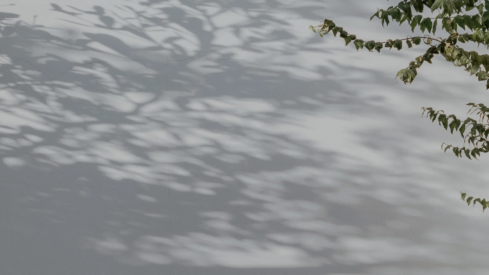 Shadow on exterior wall