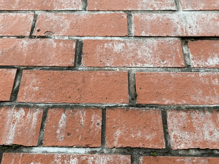 Sulphate attack on exterior walls