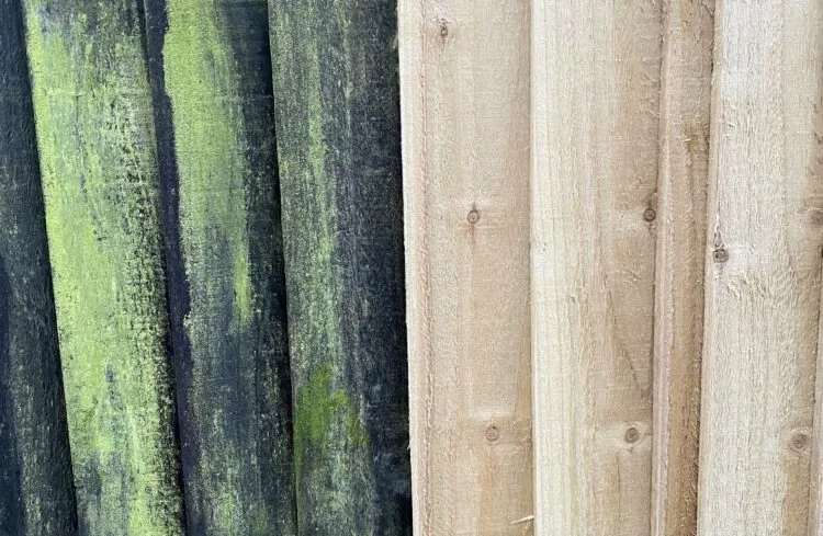 Treated wood and untreated wood