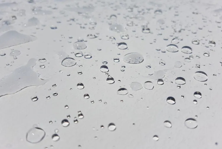 Water repellent paint