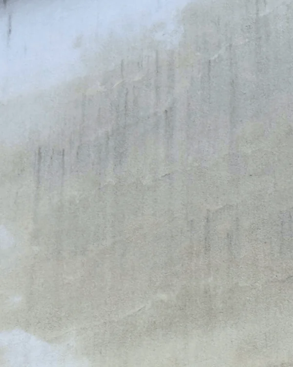 Water trapped within a wall