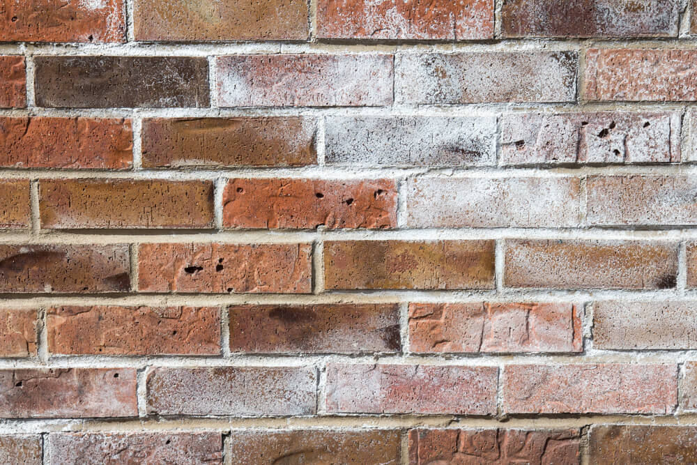 Efflorescence on exterior brick wall