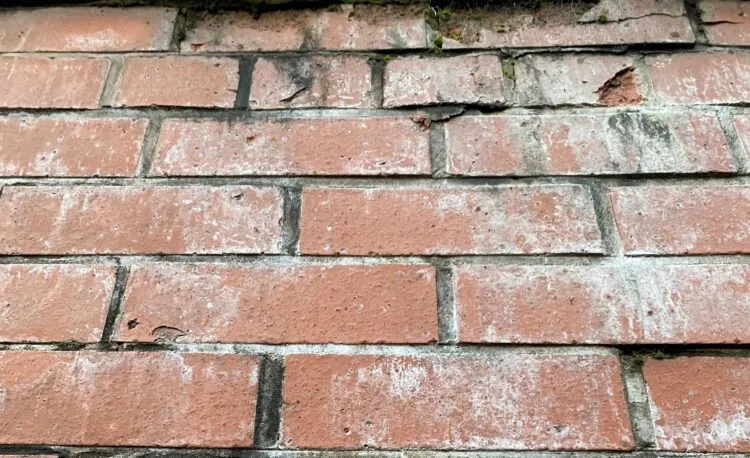 efflorescence on wall