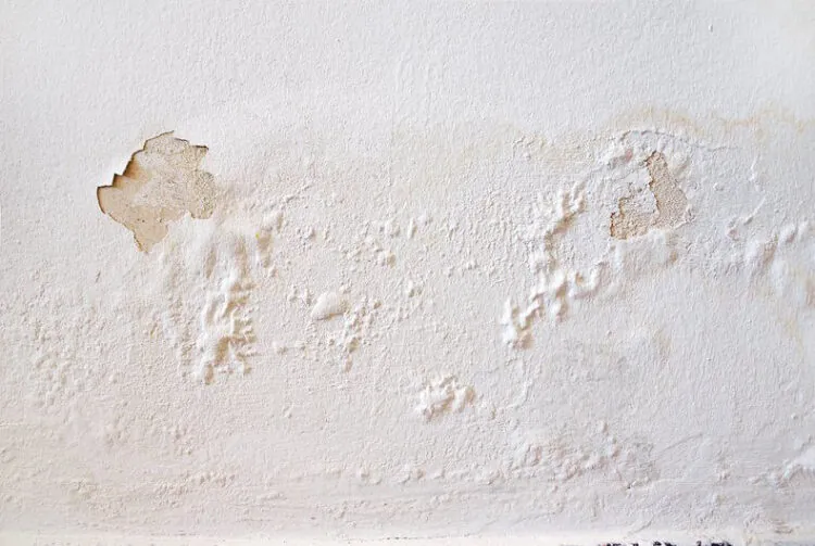 Penetrating damp on interior walls